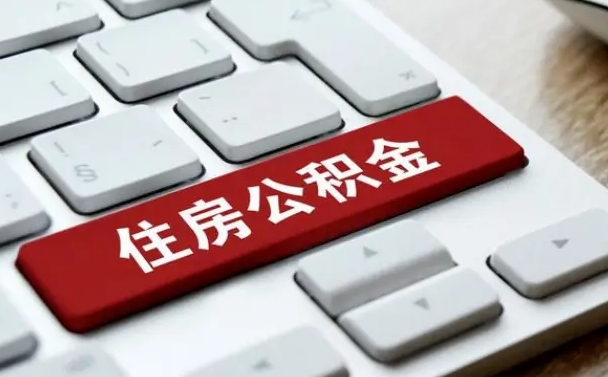 泰安公积金公司交的部分怎么提取（公积金提取公司缴纳部分）
